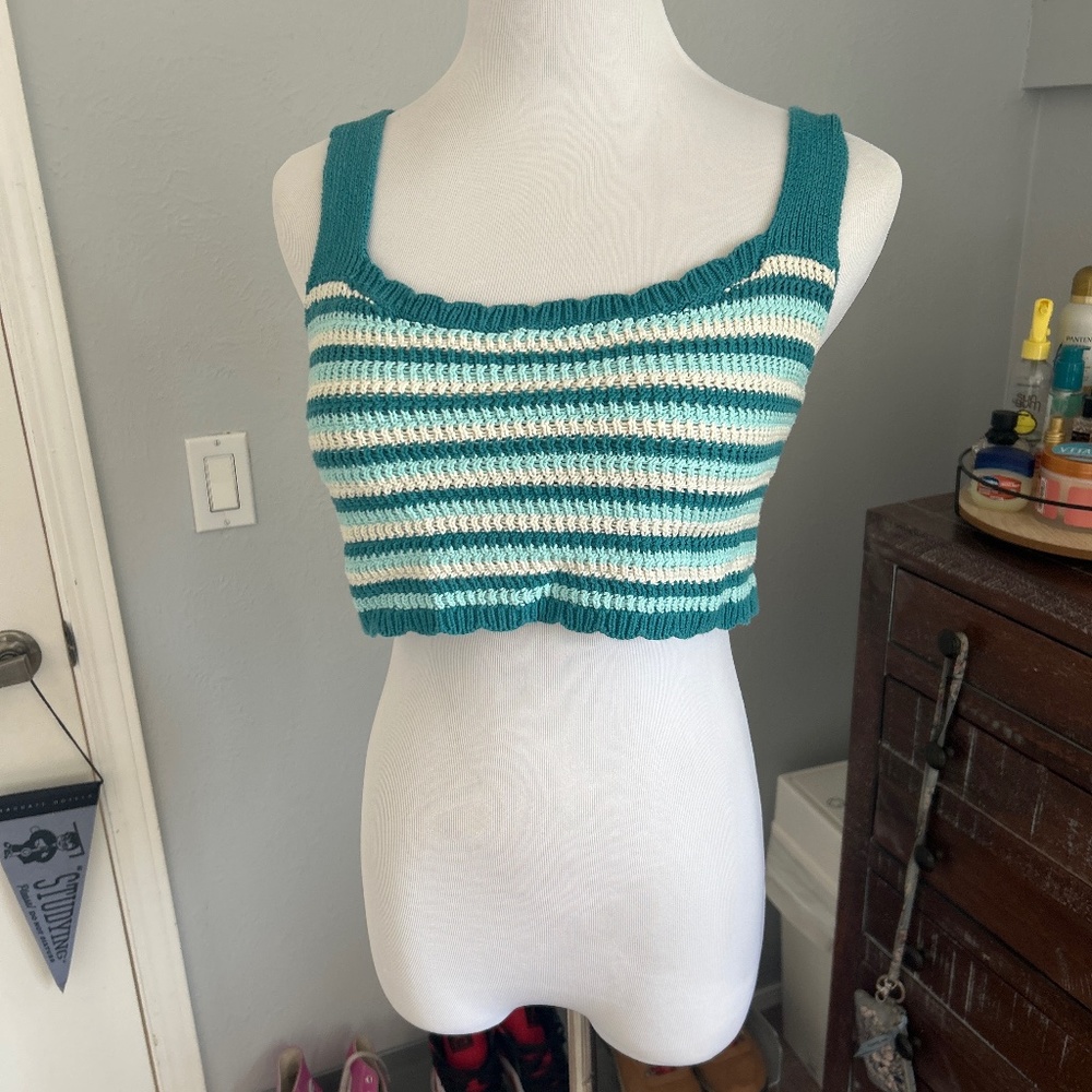 Wild fable cropped crochet top